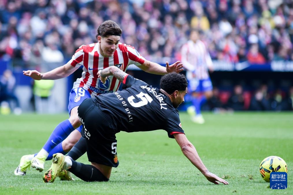 NBA赛场风波：塔图姆宣布退赛，东部夺冠形势再生变